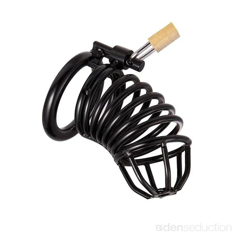 Shield X0021 Chastity device - EdenSeduce